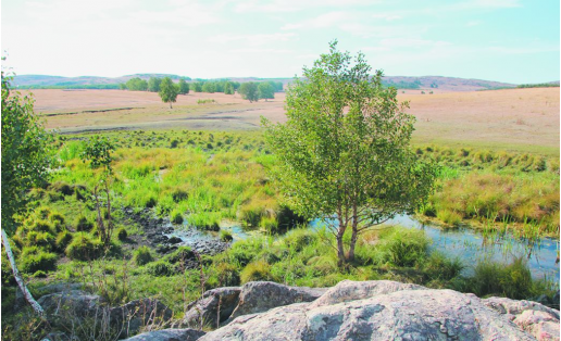 Хайбуллинский район. Река Мунча около д.Абдулнасырово Khaybullinsky Raion. Muncha River near Derevnya Abdulnasyrovo