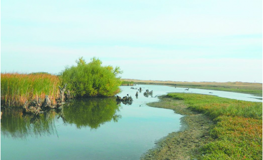Хайбуллинский район. Река Кизяташ Khaybullinsky Raion. Kizyatash River