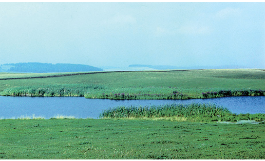 Комплекс карстовых болот у с.Улькунды. Озеро Муллино The complex of karst swamps in Selo Ulkundy. Lake Mullino
