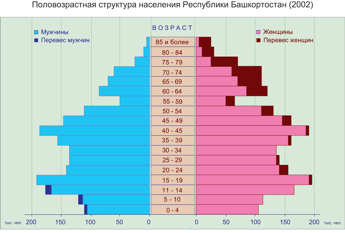 О чем информируют сужения на диаграмме половозрастная пирамида